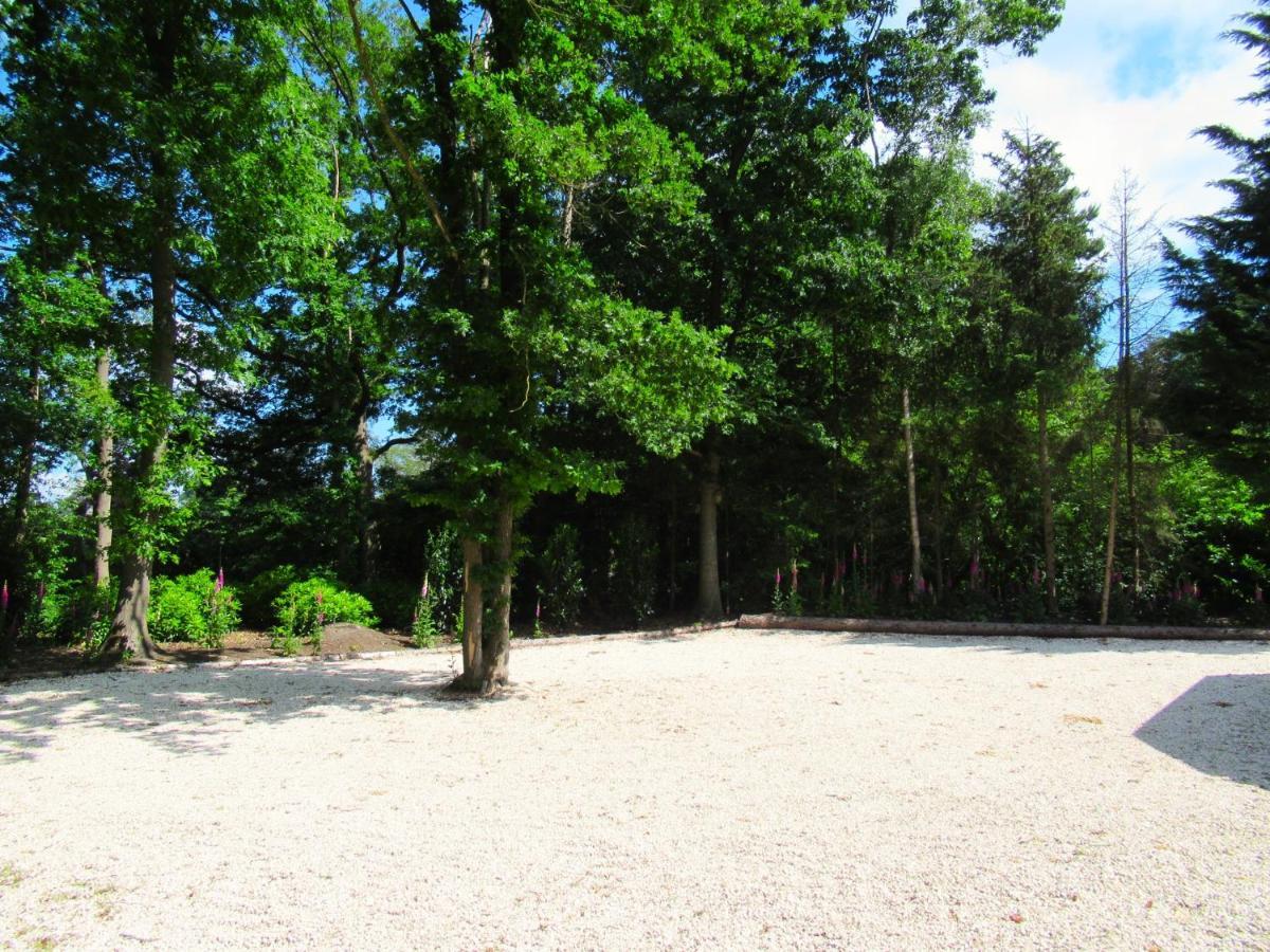 Vila Secret Wellness Oase Holten Exteriér fotografie
